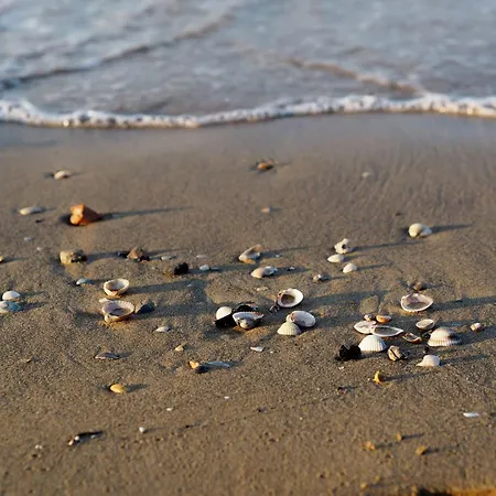 Modern With Seaview Balcony *