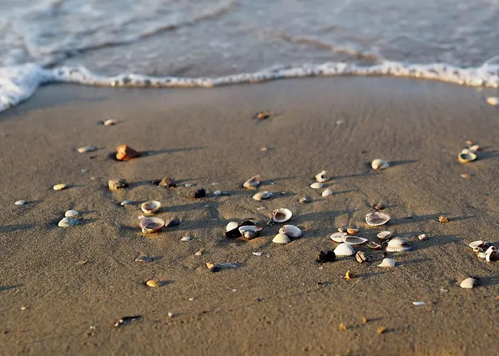 Modern With Seaview Balcony *