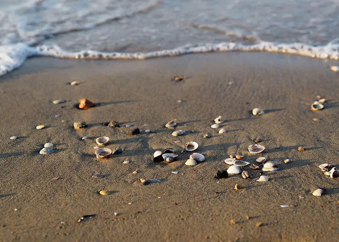 Апартаменты Modern With Seaview Balcony